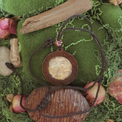 Collier Amulette "Ngu" – Mue de Serpent & Feuille d'Or