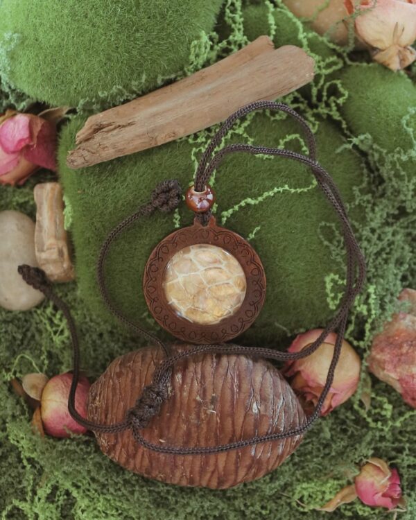 Collier Amulette "Ngu" – Mue de Serpent & Feuille d'Or