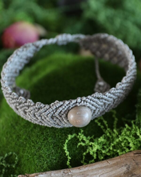 Bracelet fossile • Mémoire du vivant