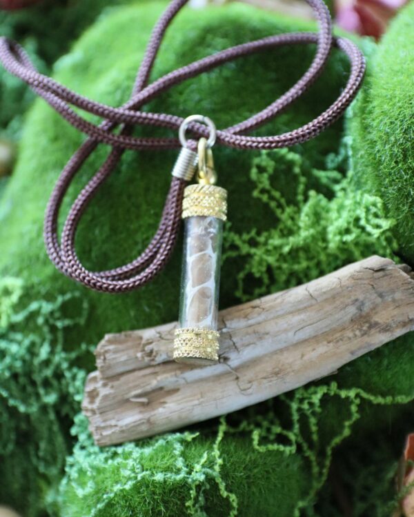 Amulette mue de serpent & feuille d’or