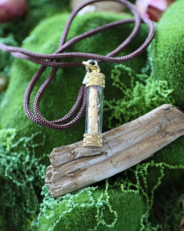 Amulette mue de serpent & feuille d’or • Transformation et renouveau – Image 4