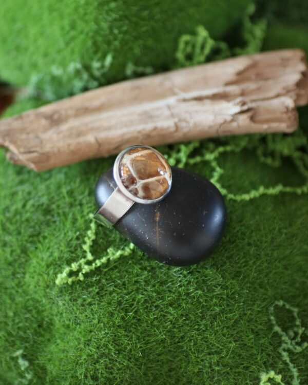 Bague cabochon mue de serpent & feuille d’or