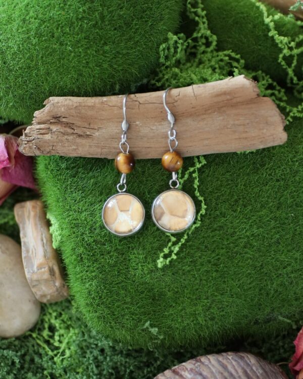 Boucles d'oreilles mue de serpent & feuille d’or